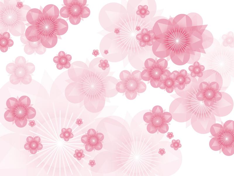Pink Flowers Hd Backgrounds