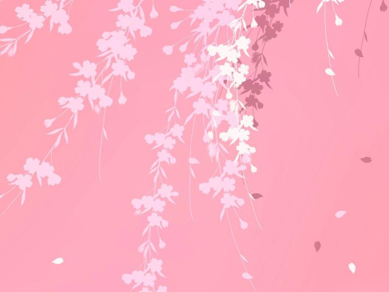 Pink image Backgrounds