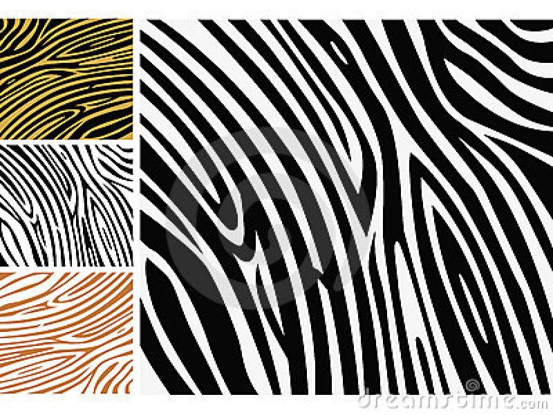 Powerpoint Zebra Image Search Results Clipart Backgrounds