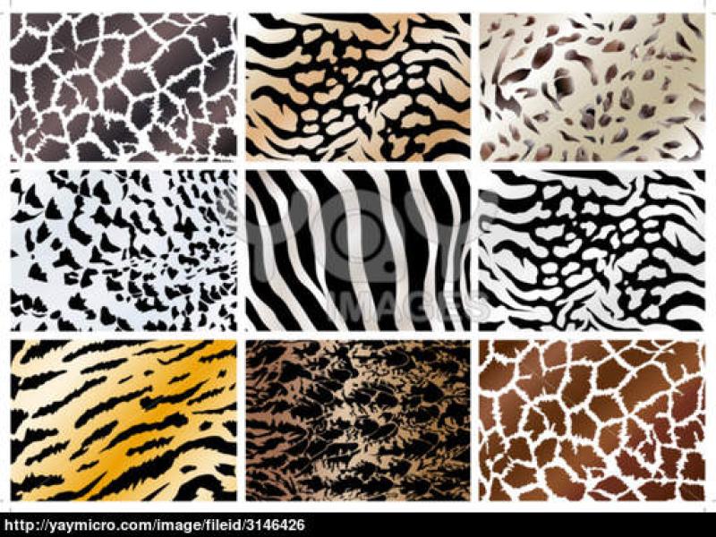 Print Free Animal Print Backgrounds