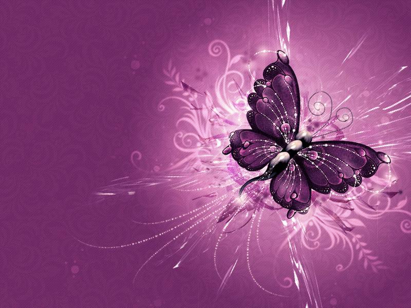 Purple Abstract Vector Butterfly Wallpaper Backgrounds
