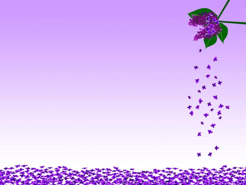 Purple Flower Template Backgrounds