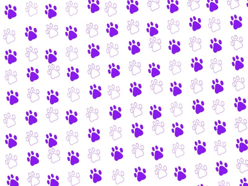 Purple Paw Print Frame Backgrounds