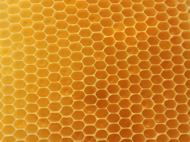 Real Honeycomb Backround Frame Backgrounds