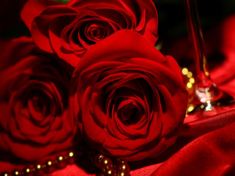 Red Necklace Rose For Hd Frame Backgrounds