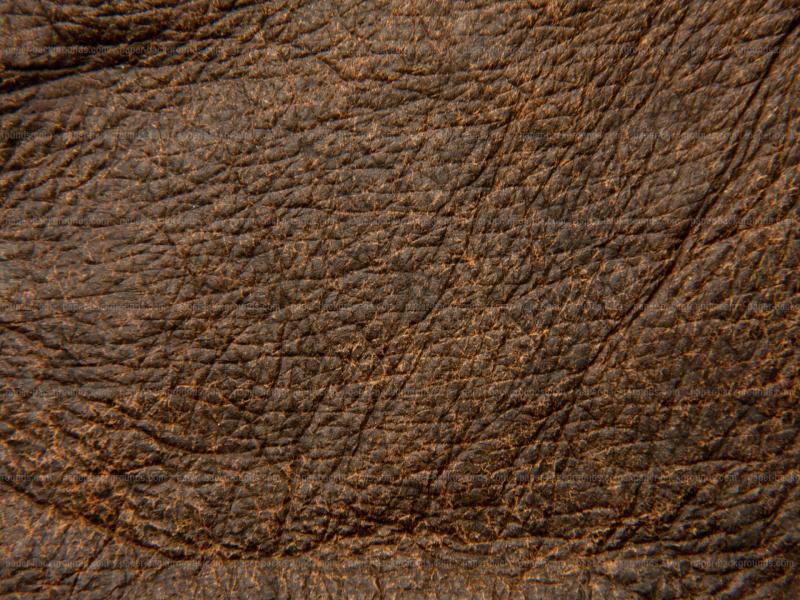 Rough Dark Brown Leather Texture Walpaper Hd Slides Backgrounds
