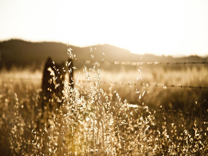 Rustic Windows Nature Backgrounds