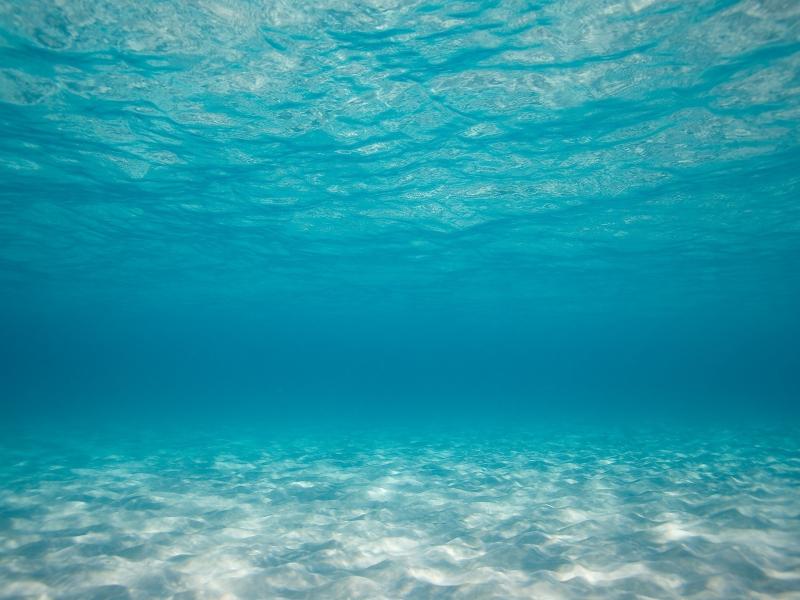 Sea Underwater Backgrounds