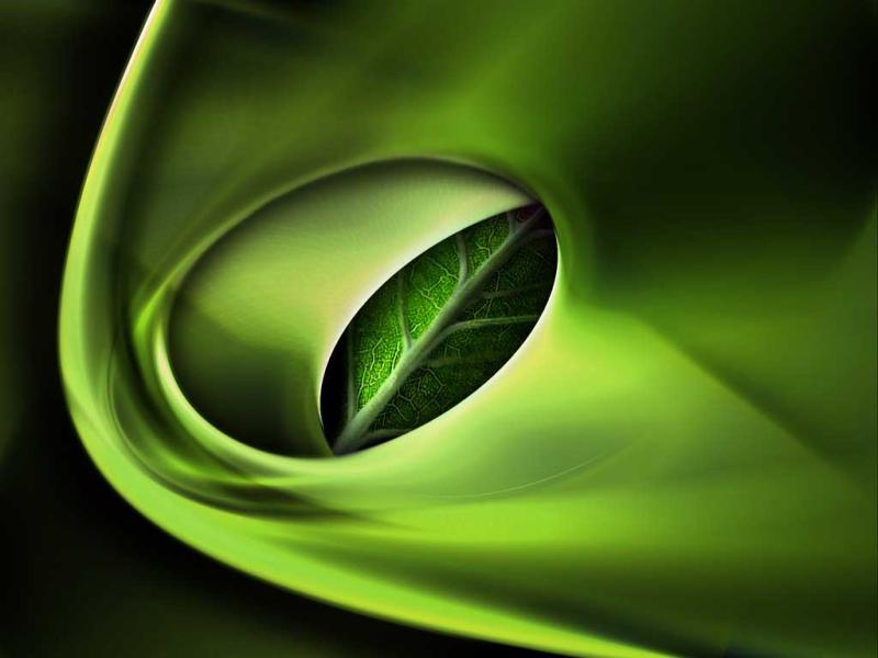 Slide Green Leaf Backgrounds