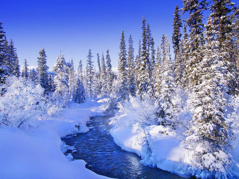 Snow Landscape  Design Backgrounds