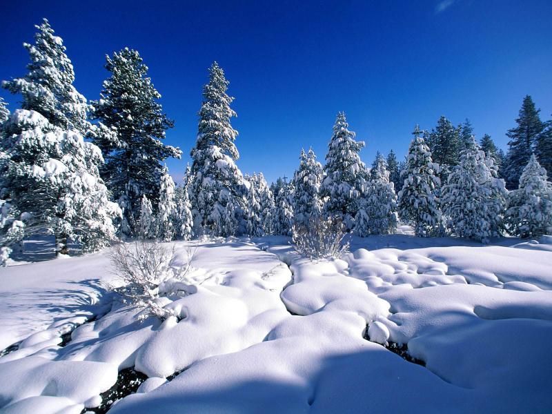 Snow Template Clipart Backgrounds