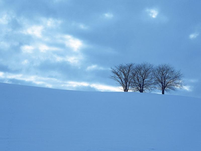 Snow Template Backgrounds