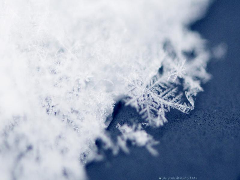 Snowflakes Graphic Backgrounds