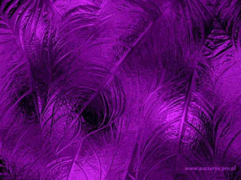 Soft Design Purple Backgrounds