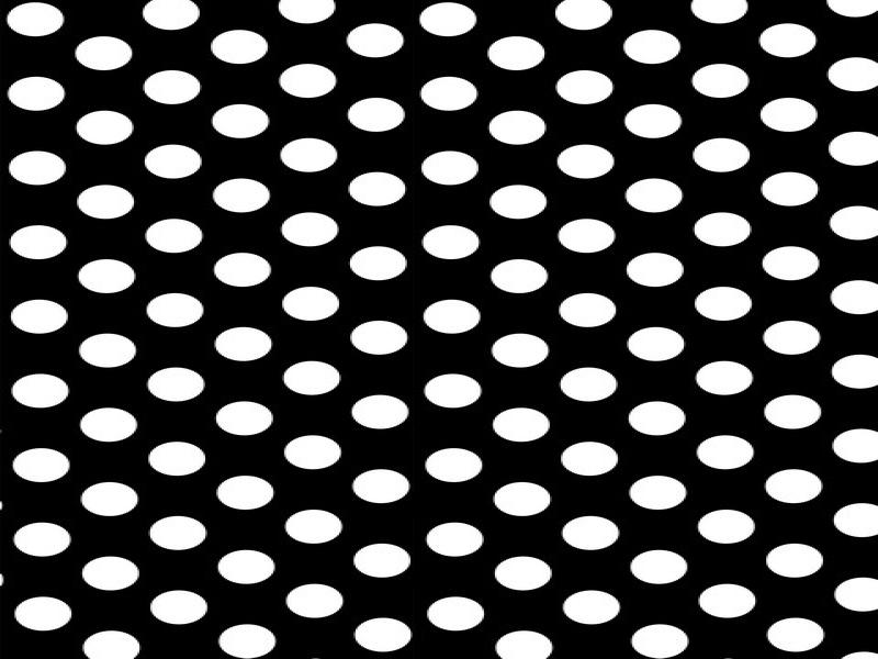 Solid Black White Polka Dots Wall Custom Photography Studio Backdrops Slides Backgrounds