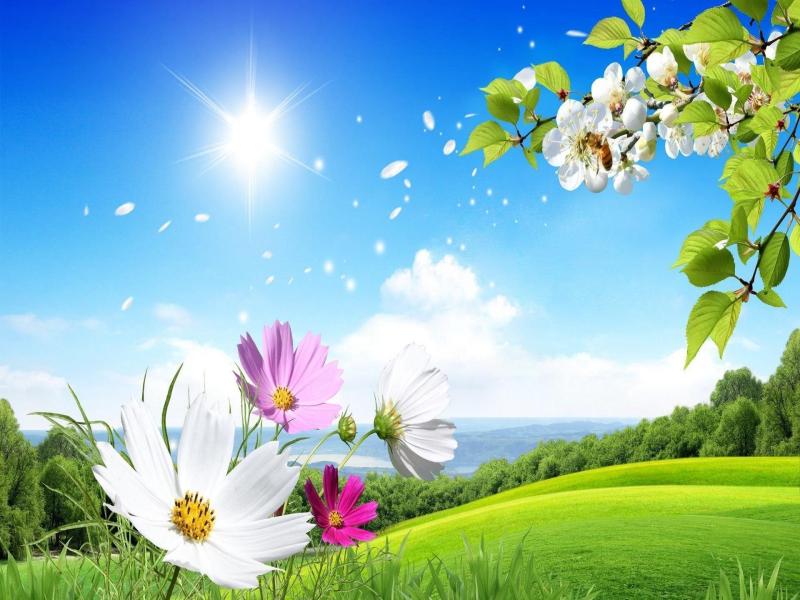 Summer Transparent Download Backgrounds