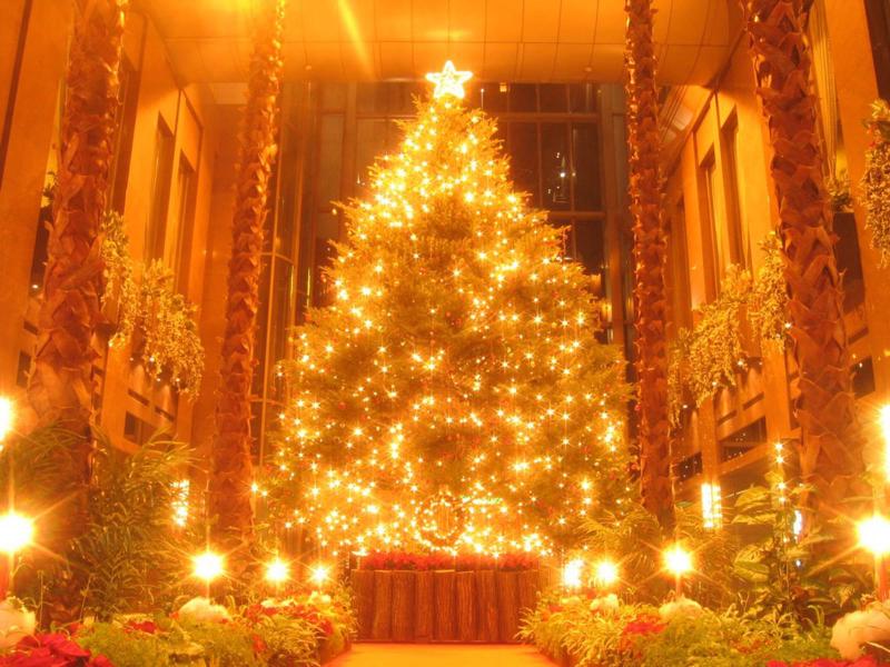 Tag Christmas Tree Deration Photos Imagess Pictures   Photo Backgrounds