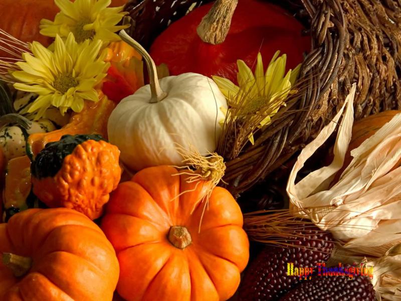 Thanksgiving Frame Backgrounds