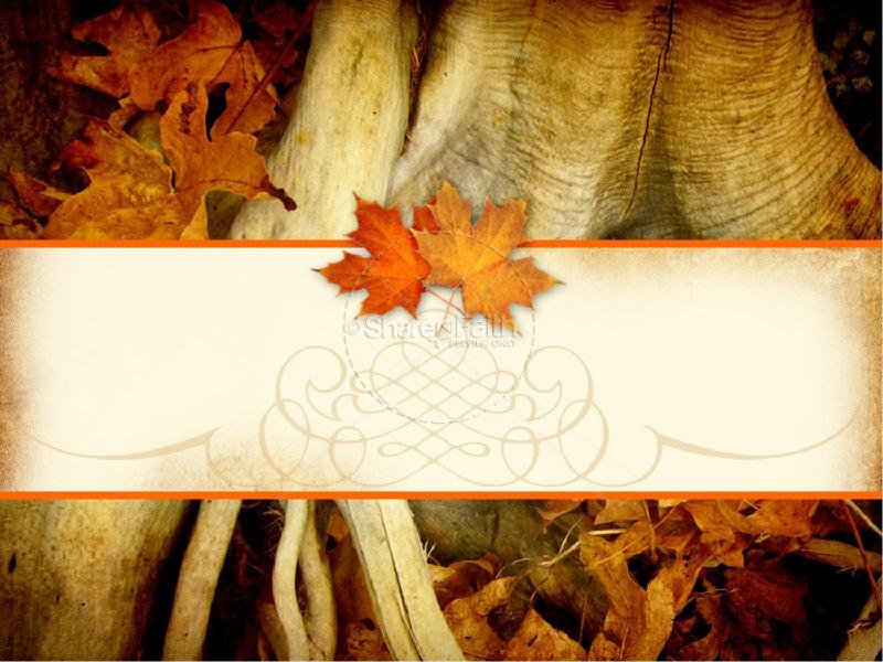 Thanksgiving PowerPoint Template  Fall Thanksgiving PowerPoints Backgrounds
