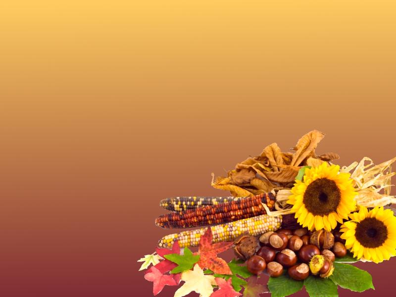 Thanksgiving Slides Backgrounds