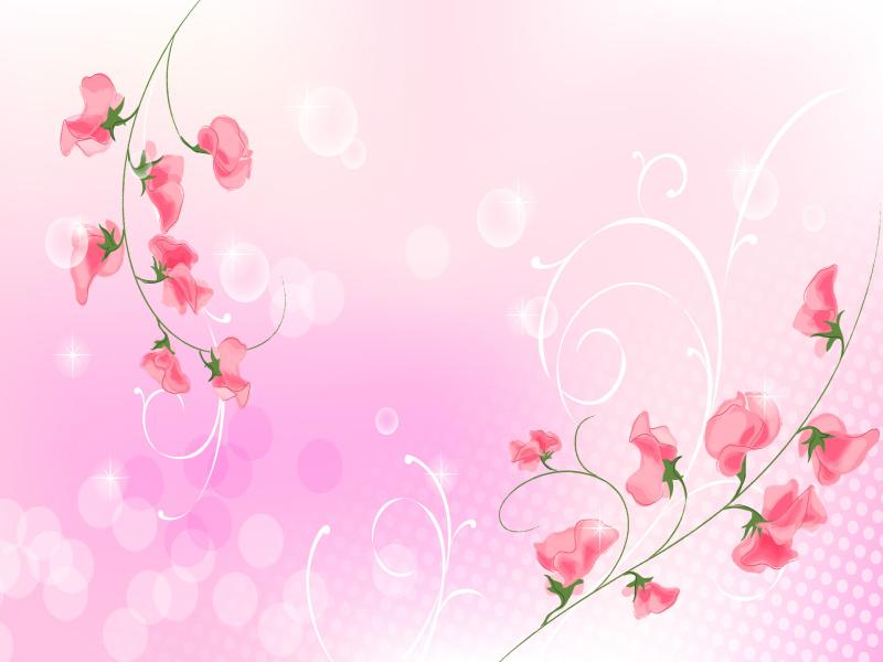 The  Two Red Branches Of Flower and Light Pink   Picture Backgrounds