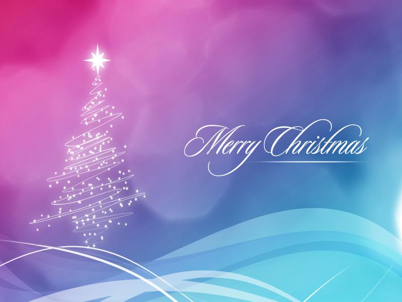 Tree Merry Christmas Photo Backgrounds