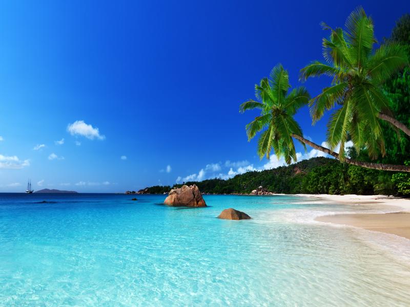 Tropical Beach Design Backgrounds for Powerpoint Templates - PPT ...