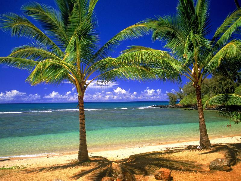 Tropical Lagoons  HDs Quality Backgrounds