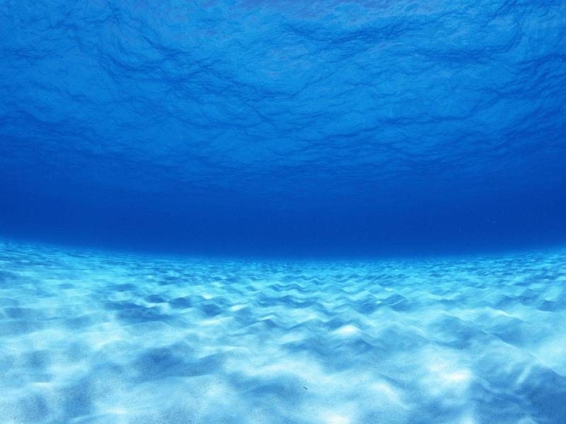 Under Water Wallpaper Backgrounds