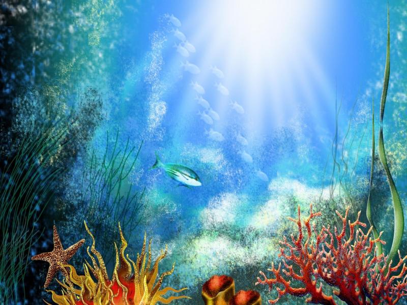 Underwater World Hd Picture Backgrounds
