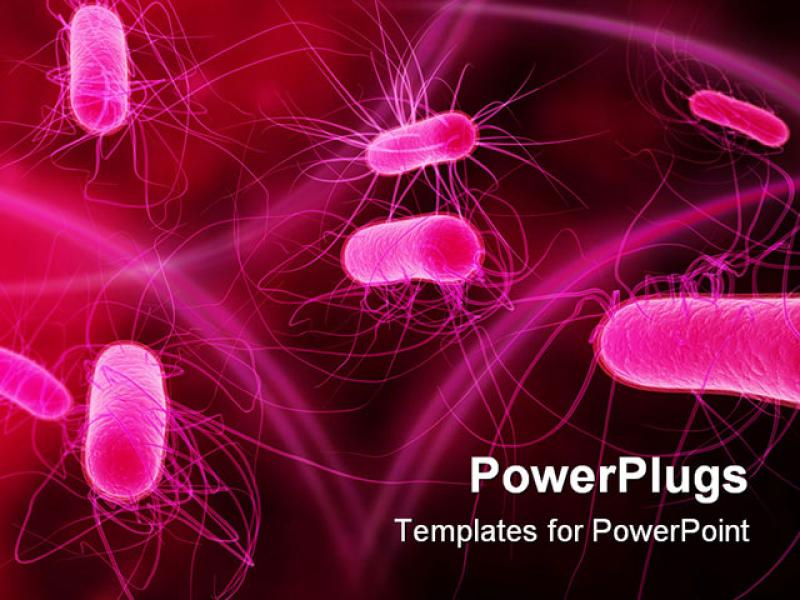 Up Of Isolated Bacteria PowerPoint Template Of Bacteria   Wallpaper Backgrounds
