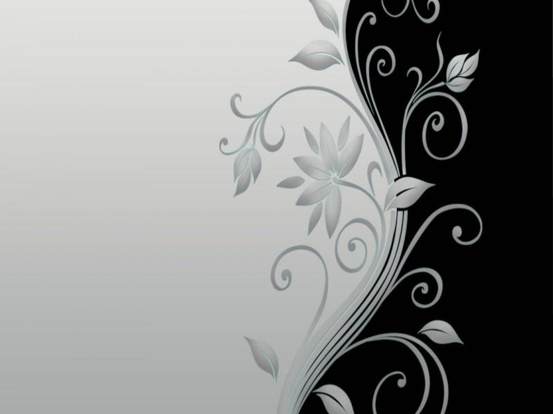 Vector Flower Black and White HD Of Vector  Hdwallpaper2013   Picture Backgrounds