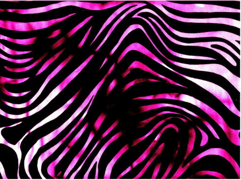 Wallpaper White and Black Zebra Pink Zebra Print Photo Backgrounds