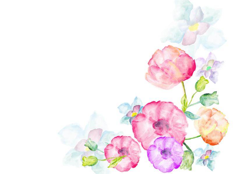 Watercolor Flowers Greetings Photo Backgrounds