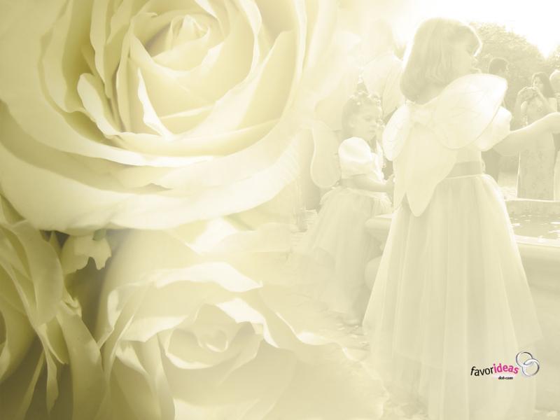 Wedding Picture Backgrounds