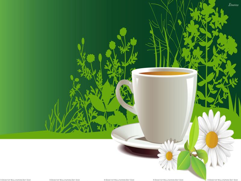 White Artistic Cup Of Tea In Plate Backgrounds