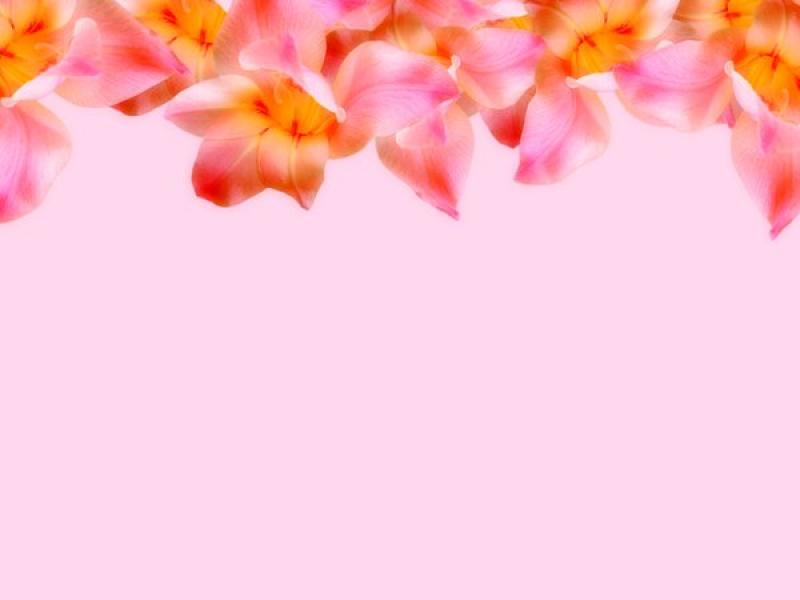 White Mothers Day Flowers Graphic Backgrounds