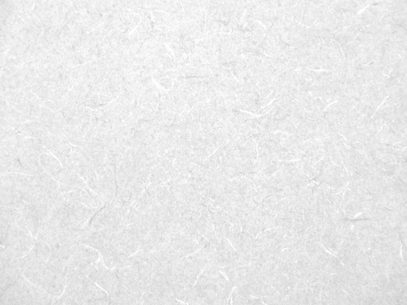 White Texture Pattern Images Presentation Backgrounds