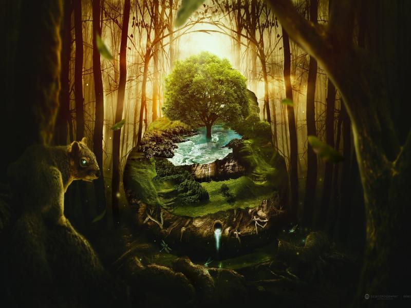 Wildlife Jungle Fantasy Art Backgrounds