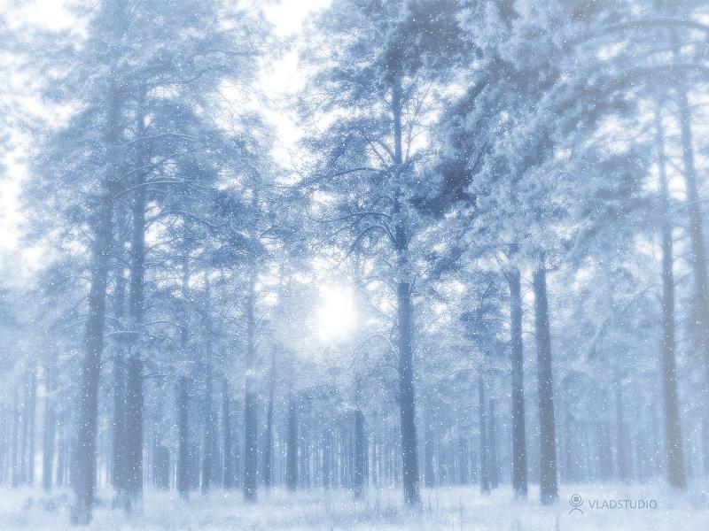 Winter HD For DesktopComputer  Free   Art Backgrounds