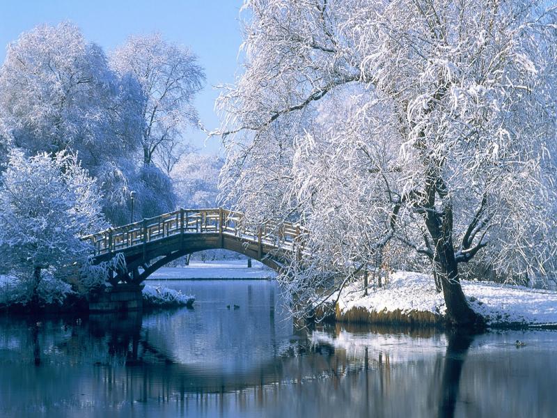 Winter HD Picture Backgrounds