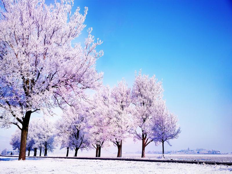 Winter HD Wide For Widescreen Quality Backgrounds