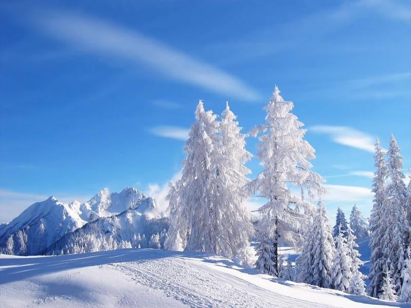 Winter image Backgrounds