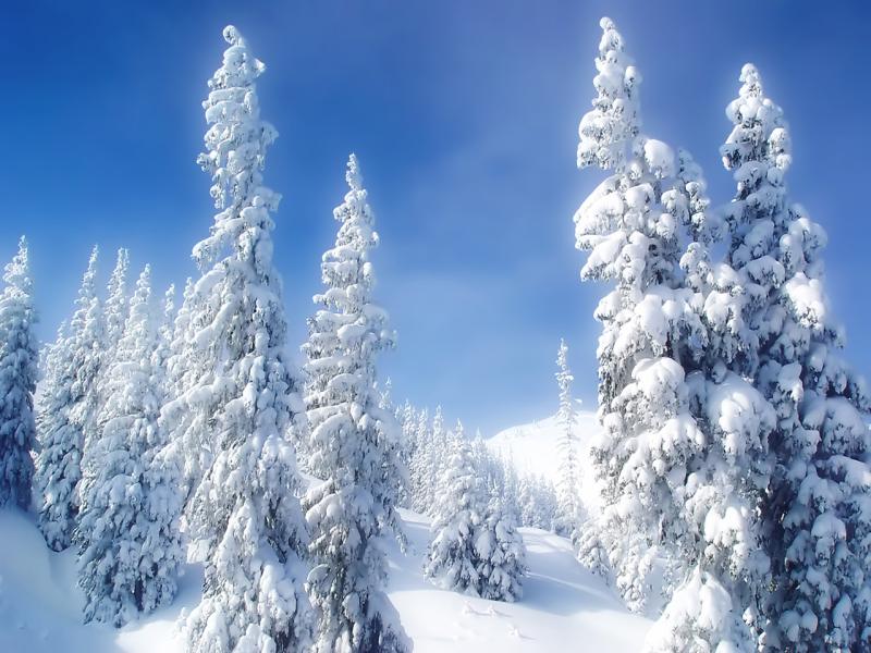 Winters HD Winters HD Design Backgrounds