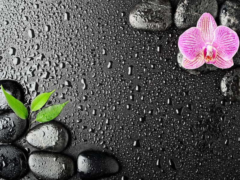 With Orchid and Stones Spa Template Backgrounds