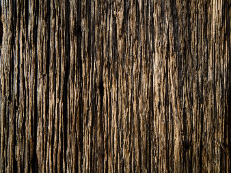 Wood Download Backgrounds