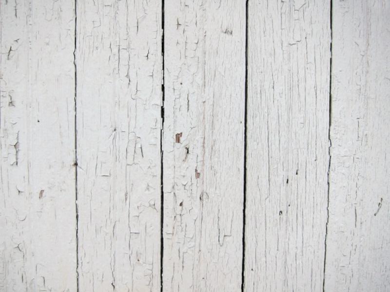 Wood White Backgrounds