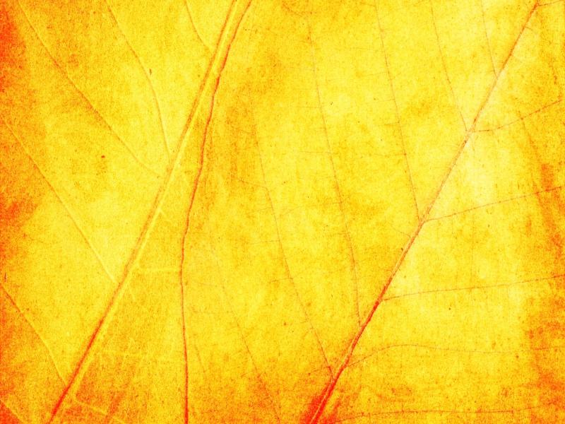 Yellow Texture image Backgrounds