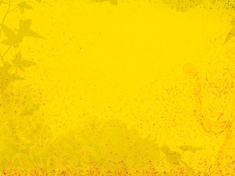 Yellow Wallpap   Template Backgrounds