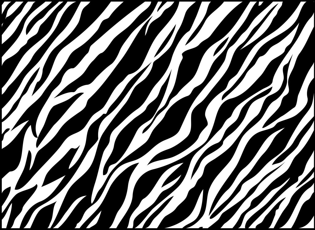 Zebra pattern slides